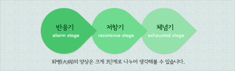 화병(火病)의 양상은 크게 3단계로 나누어 생각해볼 수 있습니다. 반응기(alarm stage), 저항기(resistance stage), 체념기(exhausted stage)